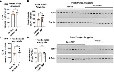 Neurosteroid [3α,5α]-3-hydroxy-pregnan-20-one enhances IL-10 production via endosomal TRIF-dependent TLR4 signaling pathway